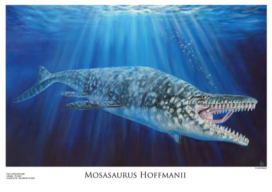 lille eksempel plakat mosasaurus