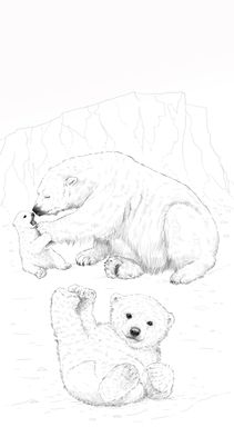 test billede2 isbjørne